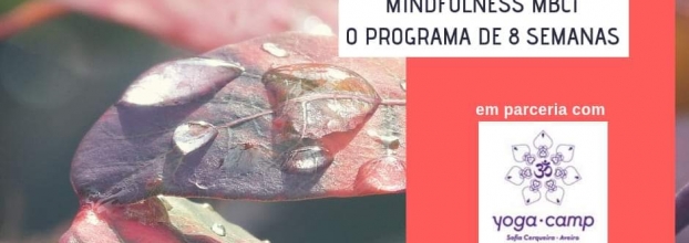 Mindfulness - programa de 8 semanas