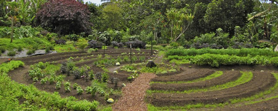 Workshop de Design Permacultura – Permaculture Design Workshop