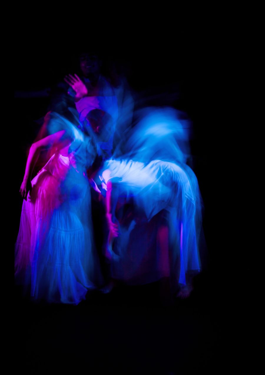 Festival InShadow 2025 | Competição Internacional de Vídeo-Dança