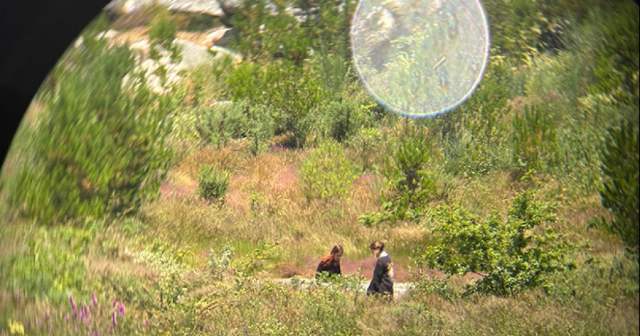 VISITA GUIADA_ Exposición EU SON A ANIMALA 