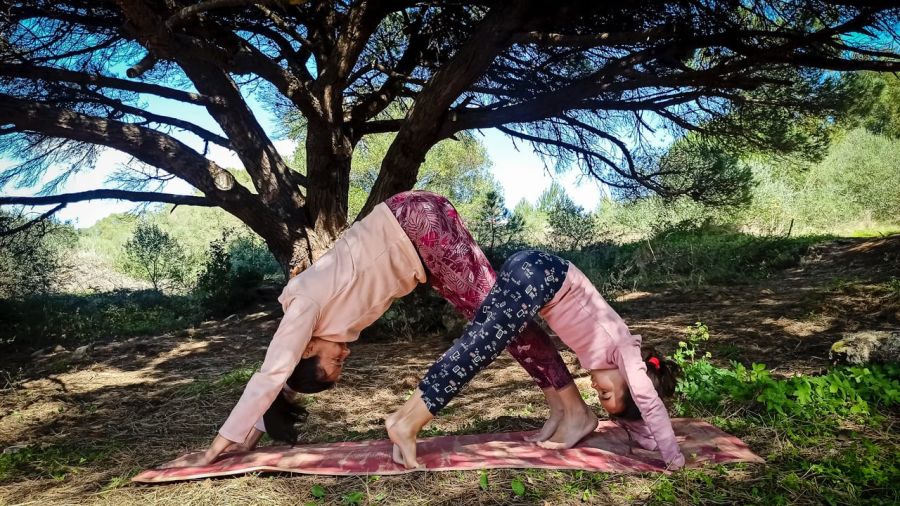 Yoga ao Anoitecer nos Bosques da Peninha