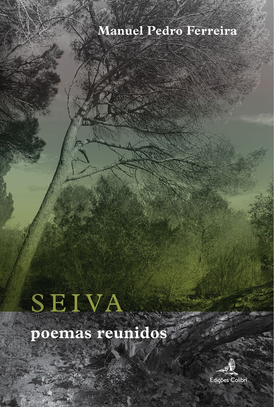 LANÇAMENTO DO LIVRO 'SEIVA - POEMAS REUNIDOS' DE MANUEL PEDRO FERREIRA