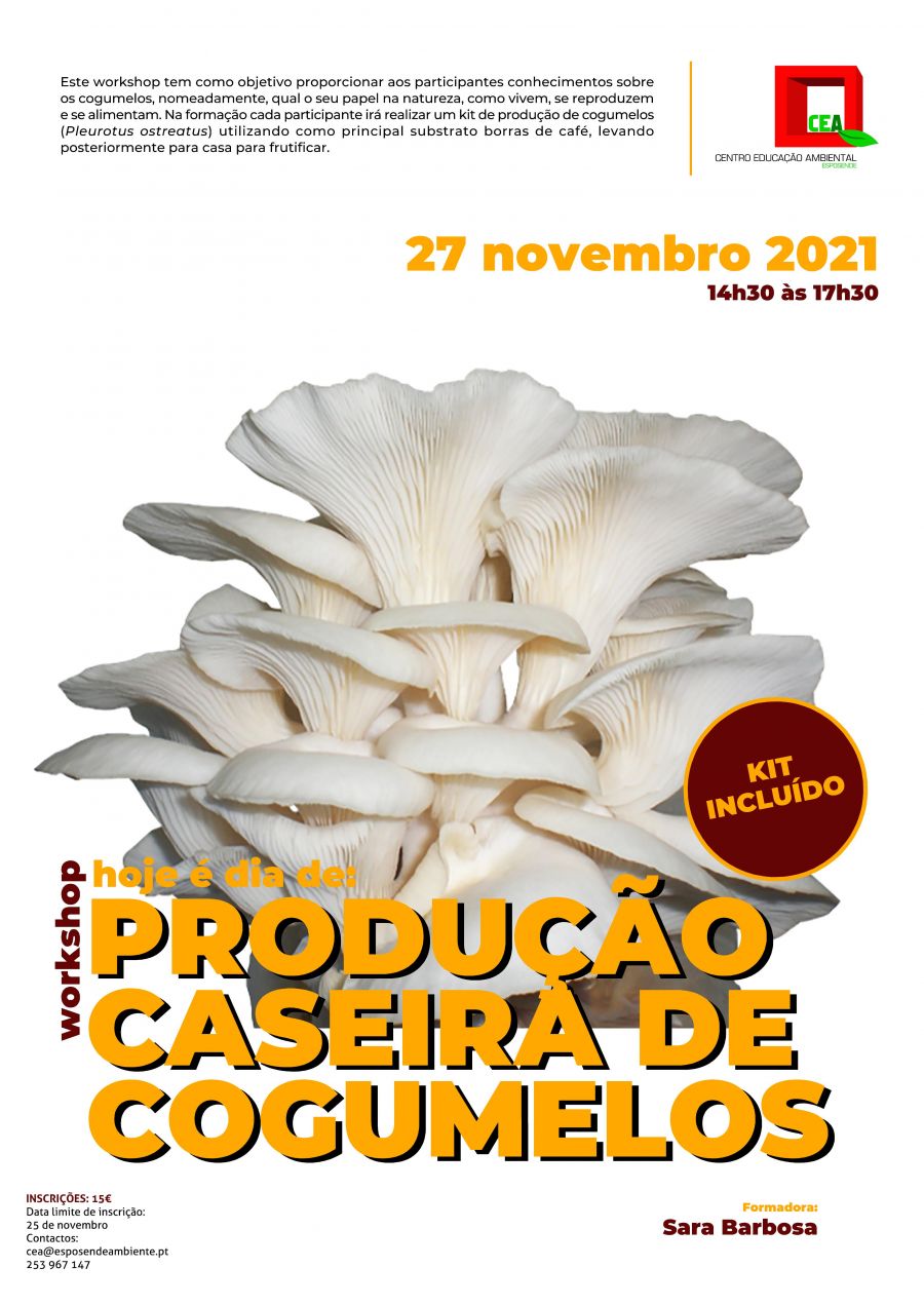 Workshop 'Hoje é dia de: Produção Caseira de Cogumelos'