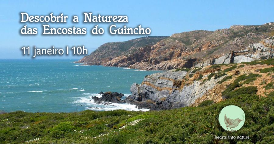 Descobrir a Natureza das Encostas do Guincho