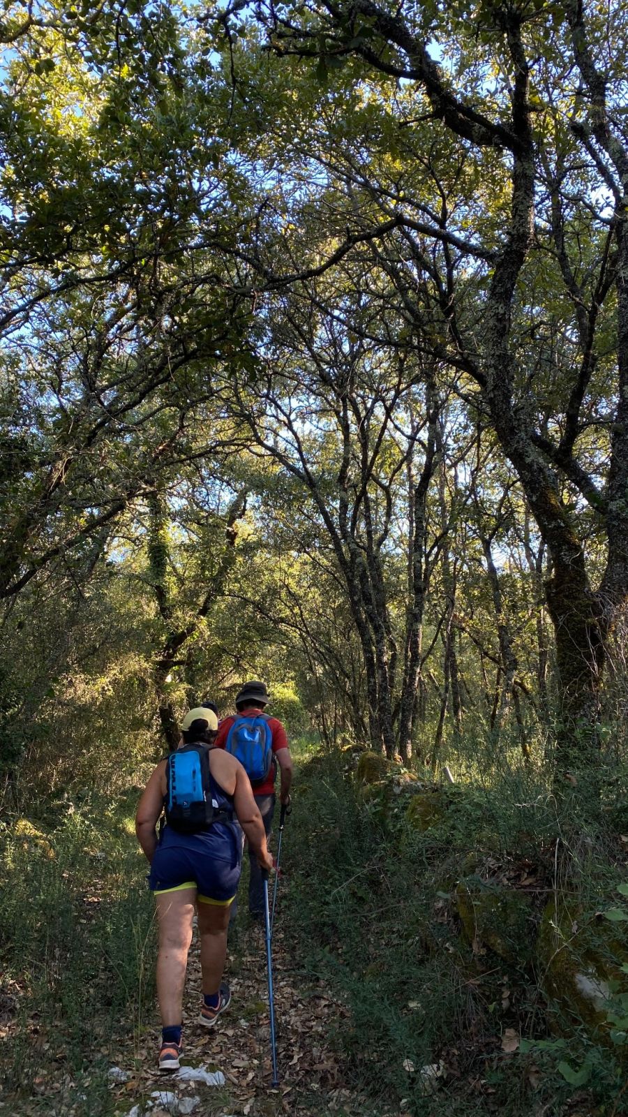 Trilho Pombal Natura