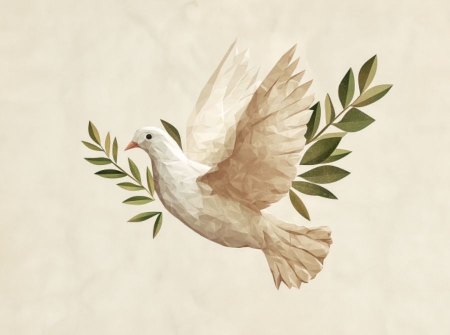 Cousiñas xeitosas: 'Día Escolar da Paz e a Non Violencia'