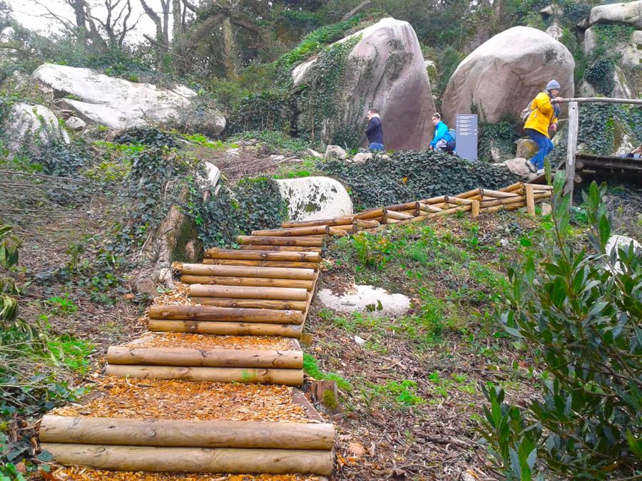 Caminhada em Sintra com Yoga no Parque - 18 de Abril de 2025