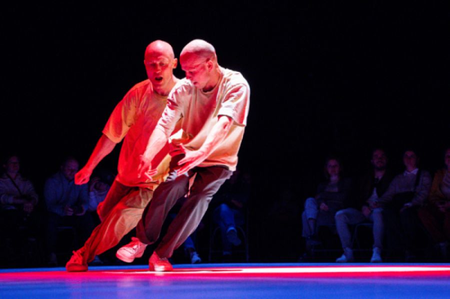 Festival InShadow 2025 | Performance Together Alone