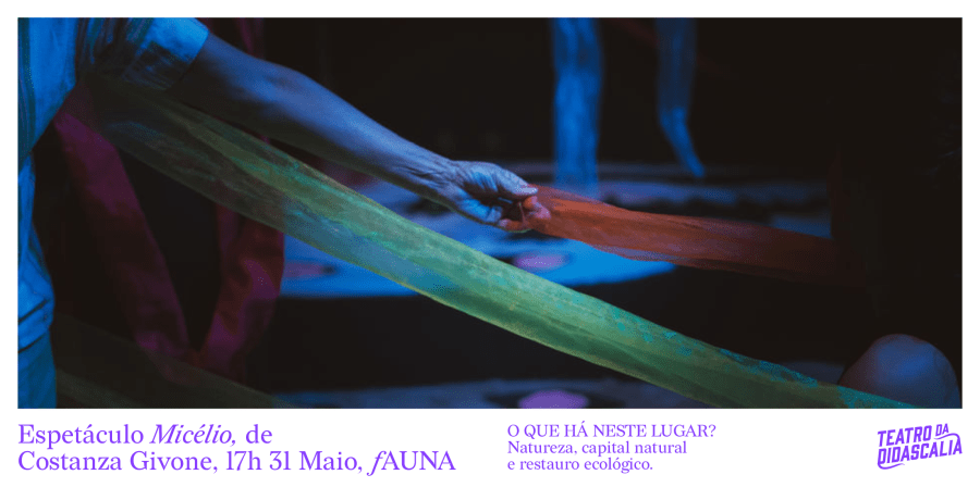 Performance 'Micélio', de Constanza Givone