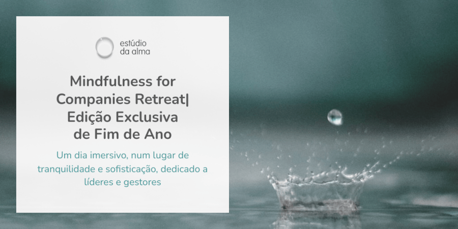 Mindfulness for Companies Retreat