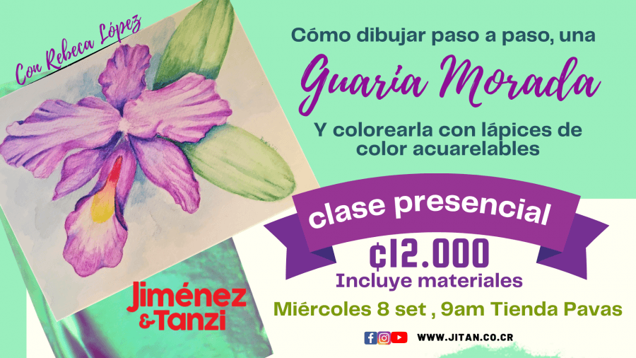 Cómo dibujar una Guaria Morada y colorearla con lápices acuarelables