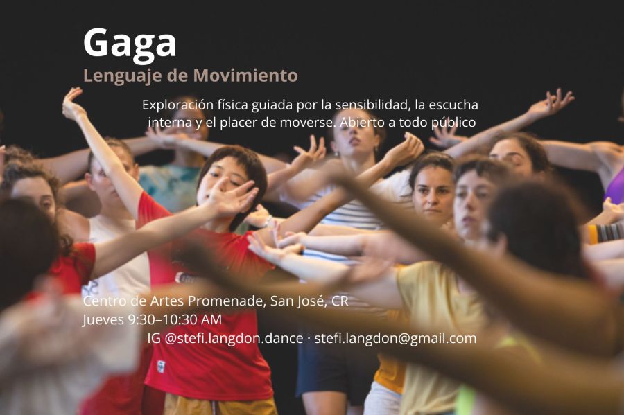 Clases de Gaga