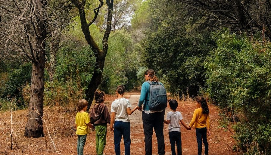 Caminhada noturna - Passeio em Família 