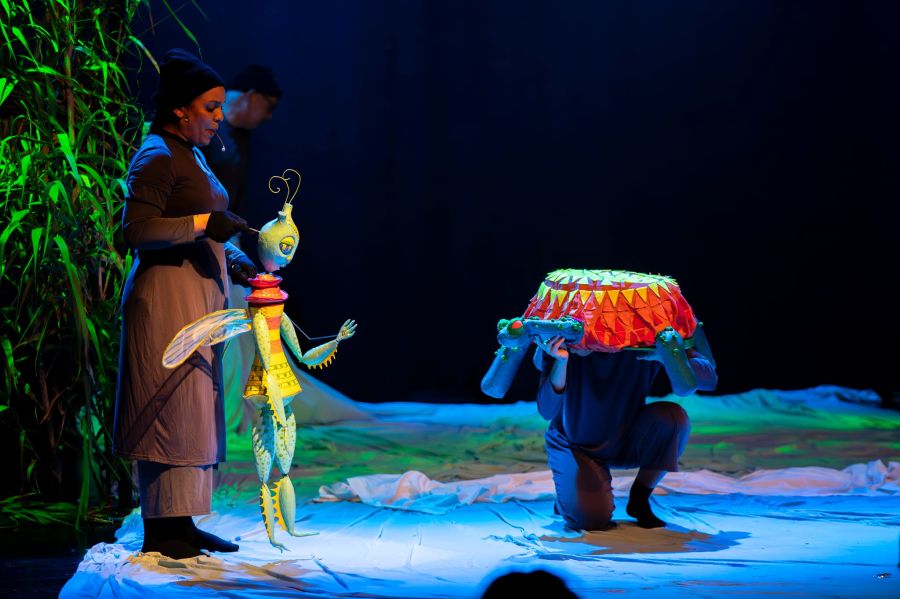 O ULTIMO GAFANHOTO DO DESERTO #Escolas