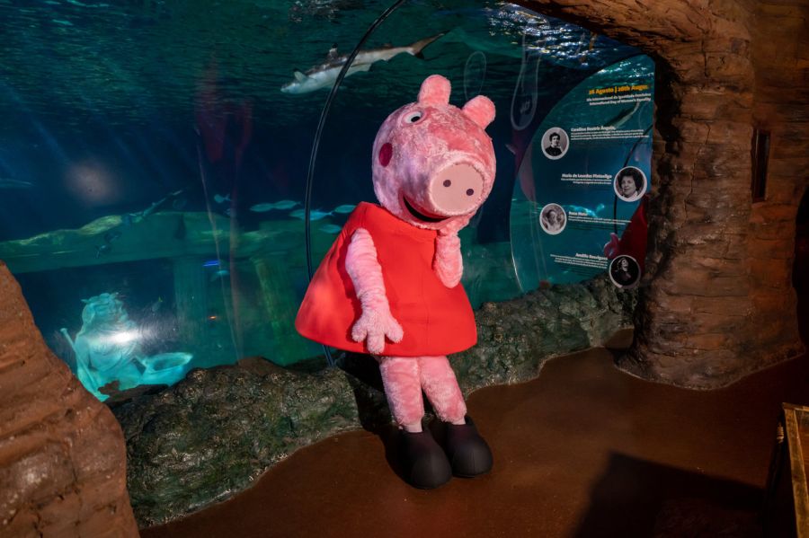 Sereias e contos da Peppa Pig: eis o programa do SEA LIFE Porto para o Dia da Mãe