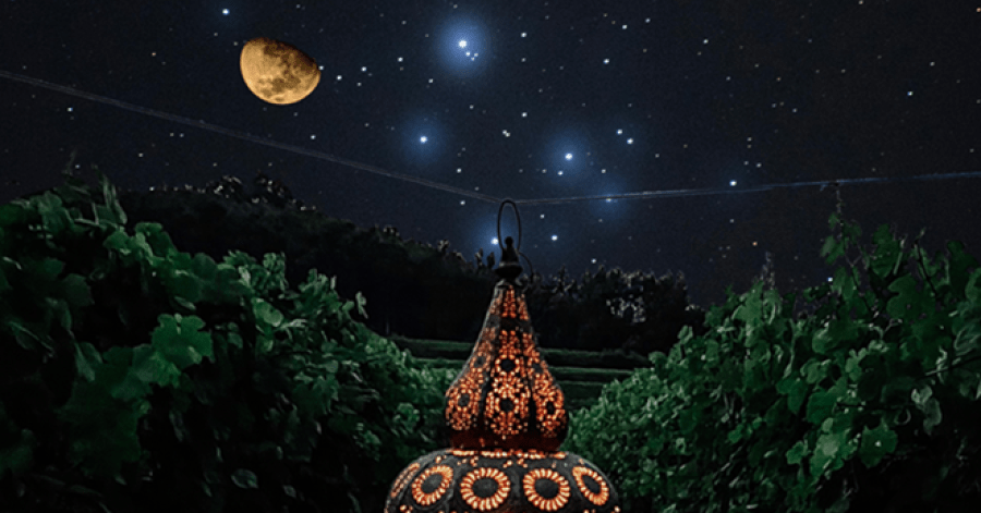 Estrelas na Vinha - Observação de Estrelas e Prova de Vinhos