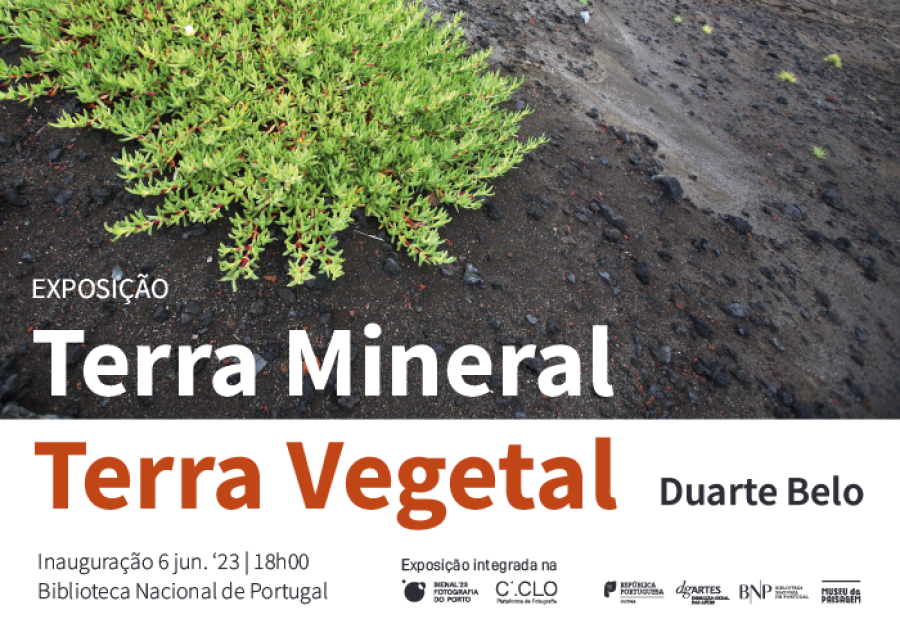 Terra Mineral - Terra Vegetal. Fotografias de Duarte Belo