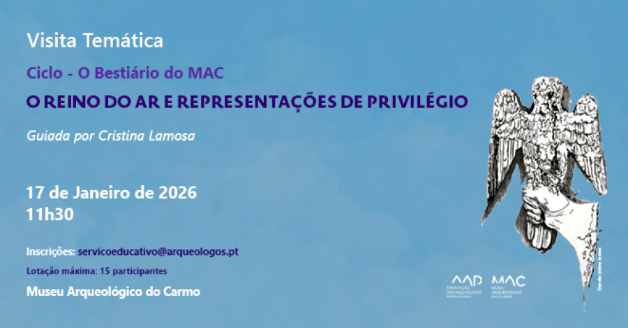 O Reino do Ar e Representações de Privilégio | Ciclo - O Bestiário do MAC