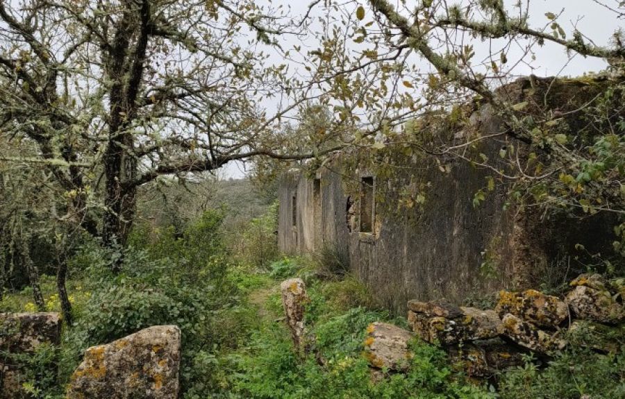 Visita à Aldeia Abandonada de Broas
