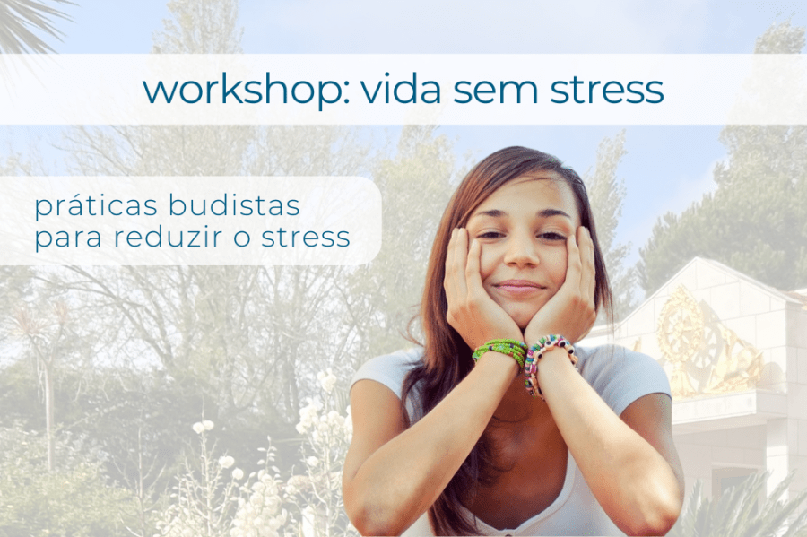 Workshop VIDA SEM STRESS