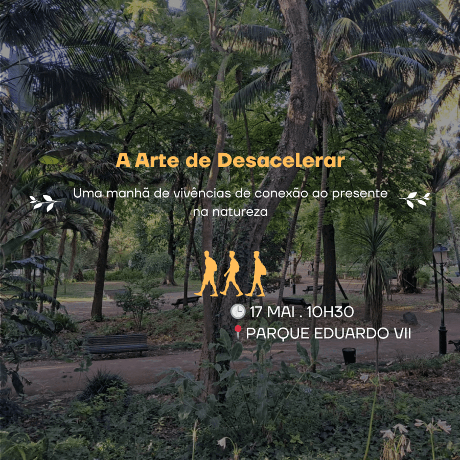 A Arte de Desacelerar: Uma manhã de vivências de presença na natureza da cidade