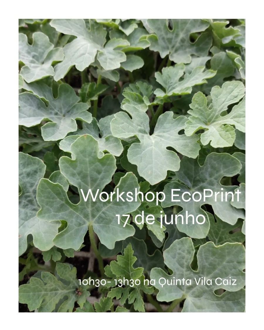 Workshop de EcoPrint 