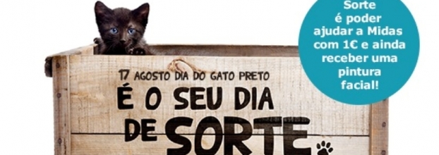 Dia do Gato Preto: MAR Shopping lança campanha de adoção
