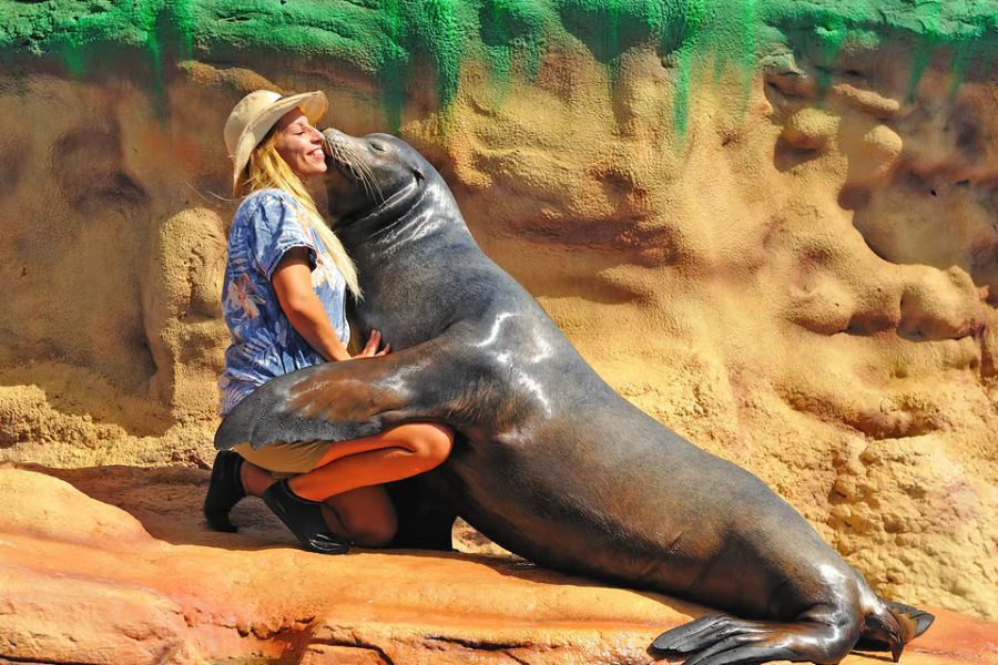 Parque de Diversões Zoomarine Algarve