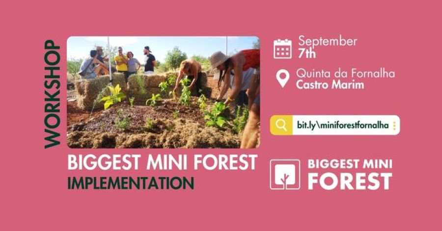 Biggest Mini Forest: Implementation Workshop