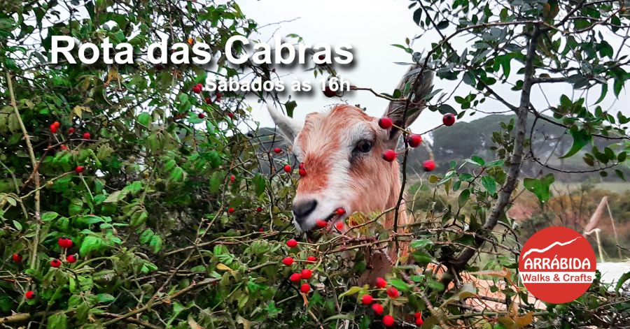 Rota das Cabras