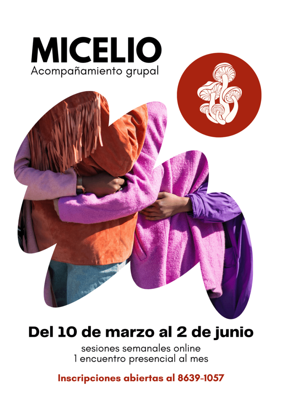 Acompañamiento grupal