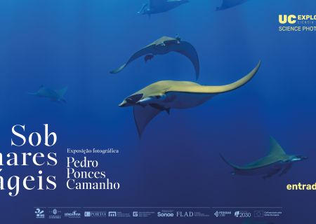 Exposição Sob Mares Frágeis