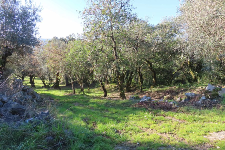 Do Rio Alcaide à Serra Galega