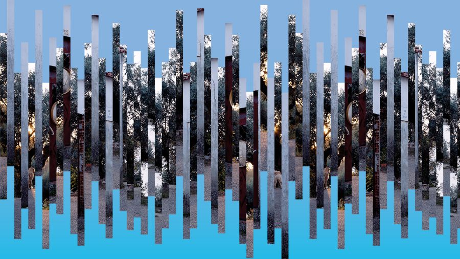 Mostra de Água das Casas | 2025