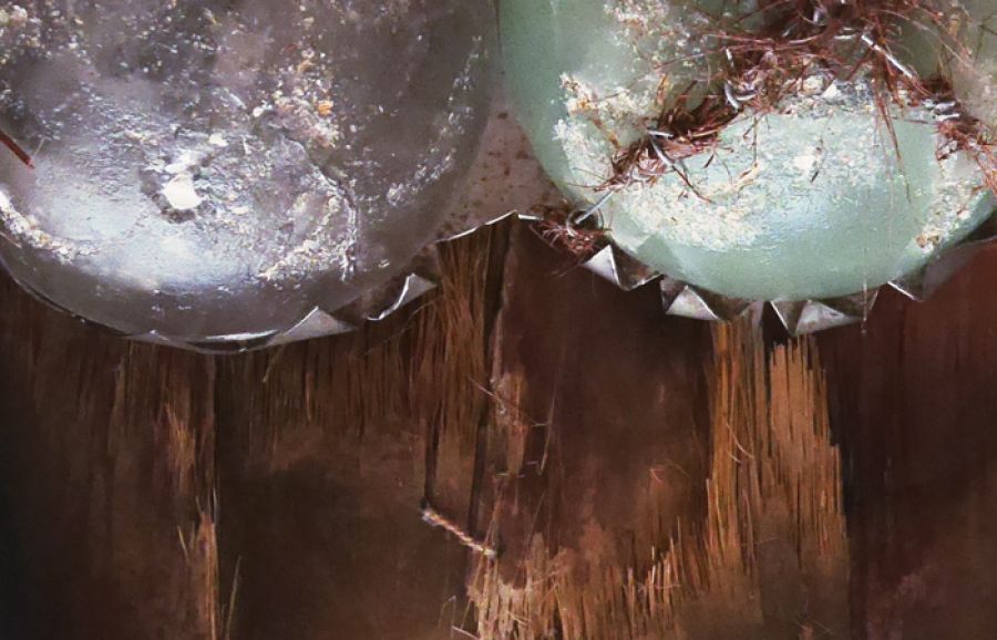 Inaugura no dia 8 de maio na Cisterna da FBAUL, a exposição 'Cemitério Indígena: Movimentos ao Autoexílio Kaiowá e Guarani' de Letícia Larín