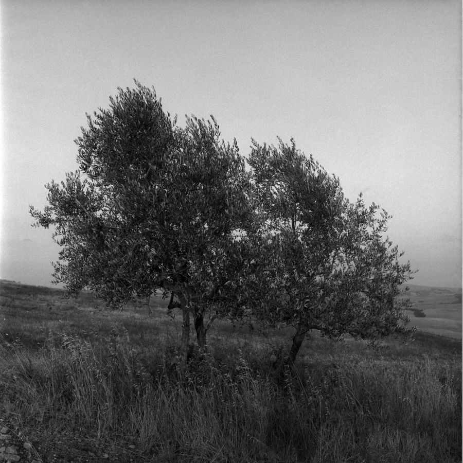 Exposição | VOLTERRA - PORTRAITS OF LOCAL PEOPLE | Eurico Lino do Vale