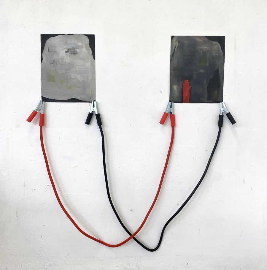 peixe-espada e colisão ◌ Vasco Olino