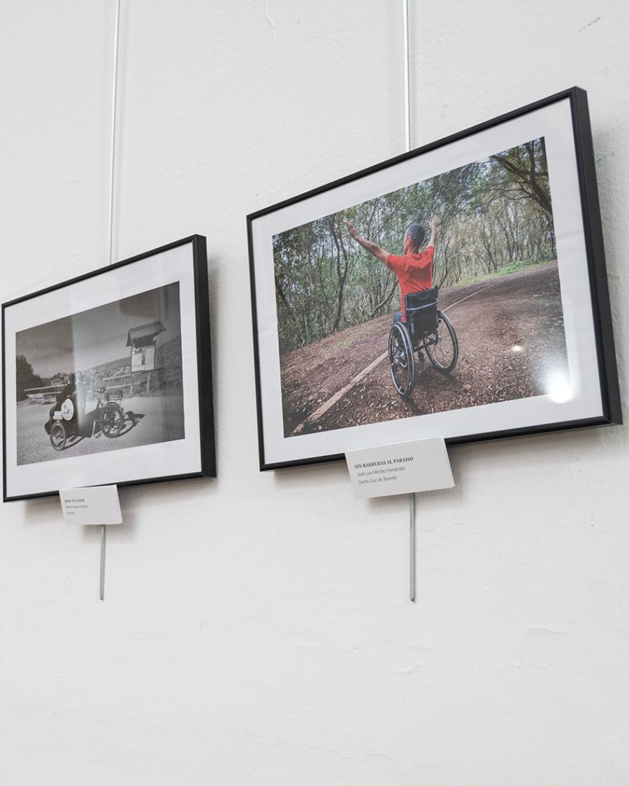 EXPOSICIÓN | “Un Paraíso Ilimitado”