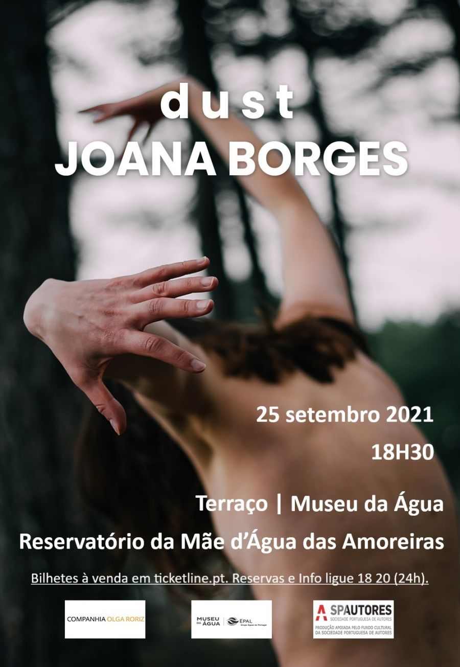Dust - Joana Borges 