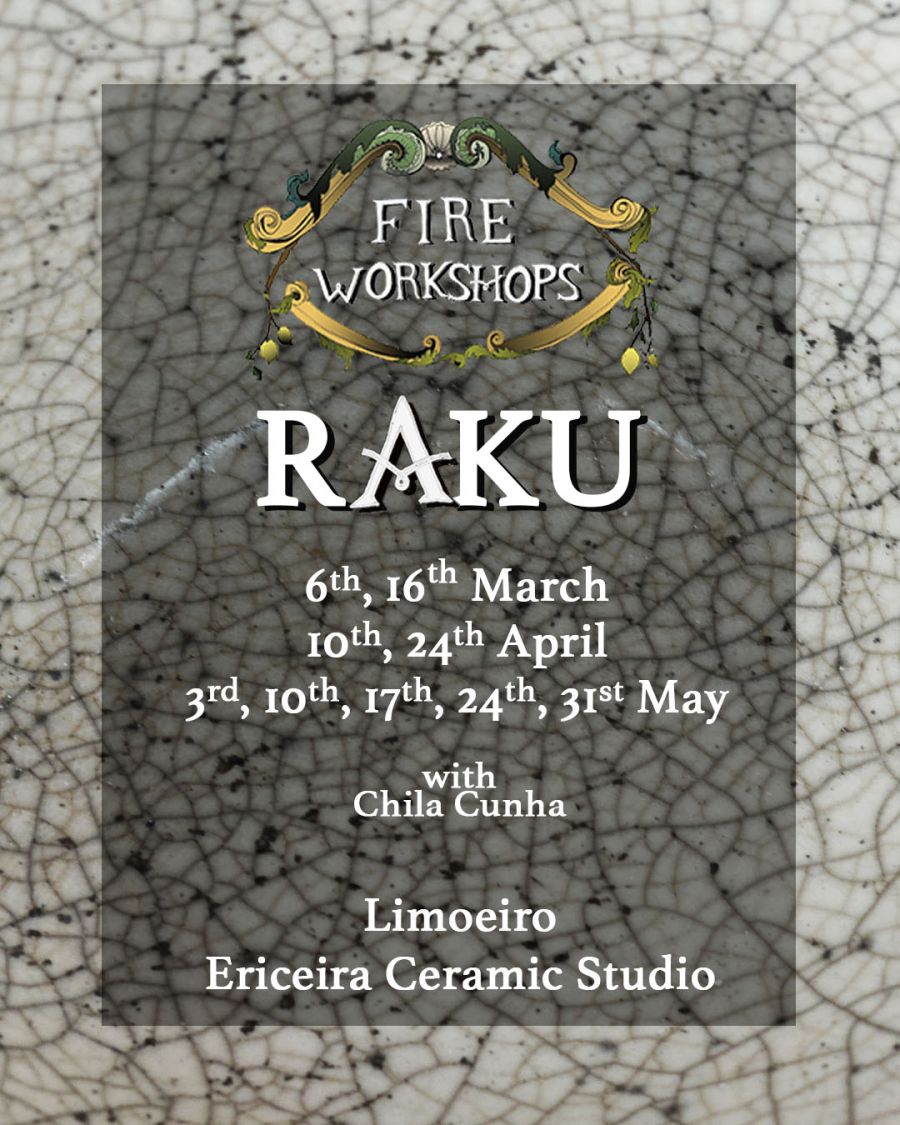 Workshop de Raku