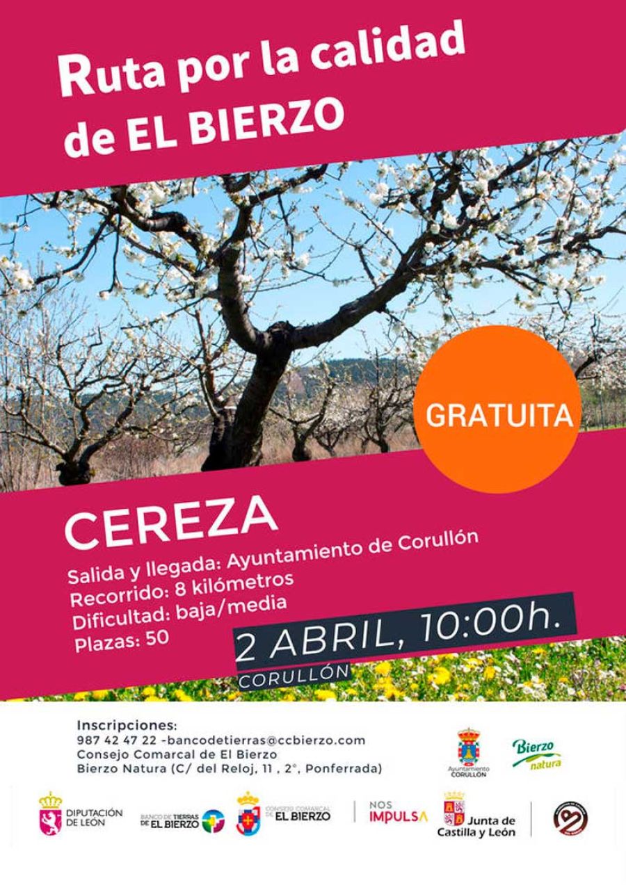 Ruta de la cereza 2023 | Corullón