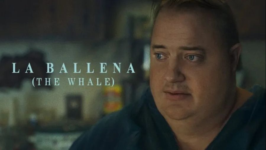 La Ballena (The Whale), de Darren Aronofsky