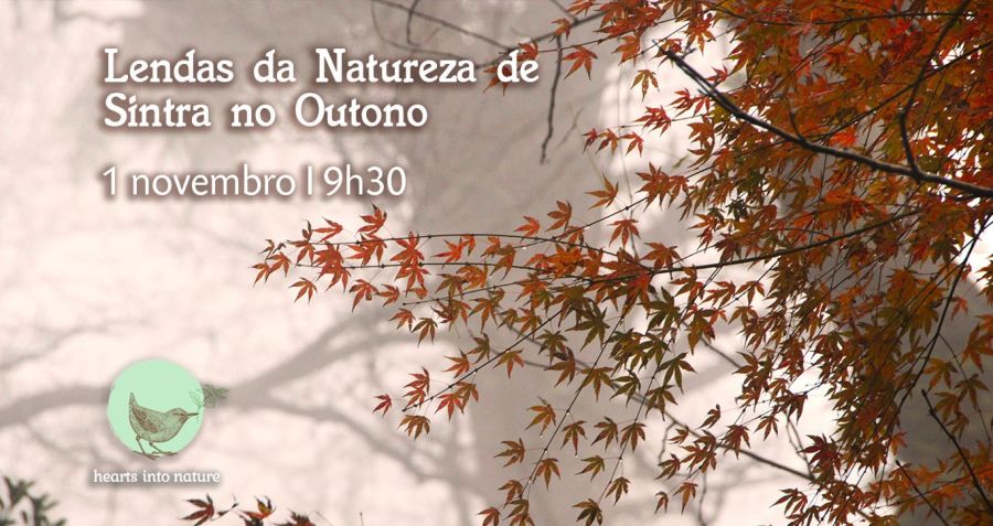 Lendas da Natureza de Sintra no Outono