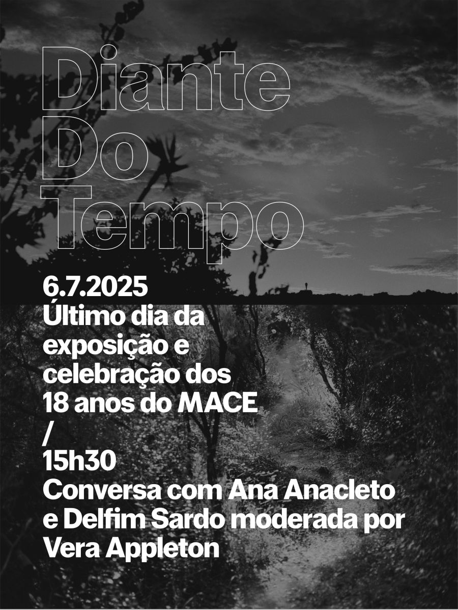 Diante do Tempo: Conversa com Ana Anacleto e Delfim Sardo