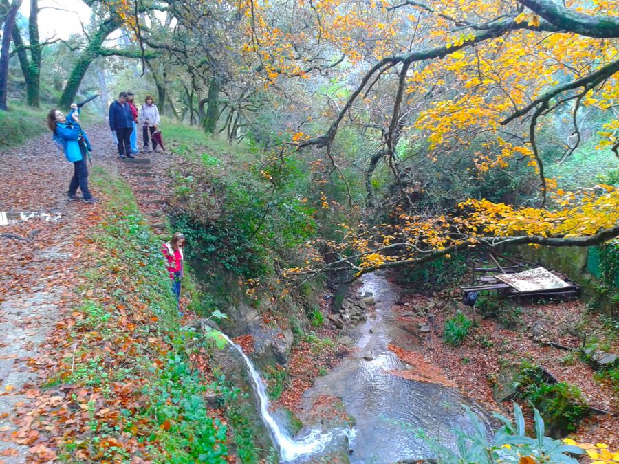 Caminhada na Fonteireira, Serra da Carregueira - 9 Fevereiro de 2025
