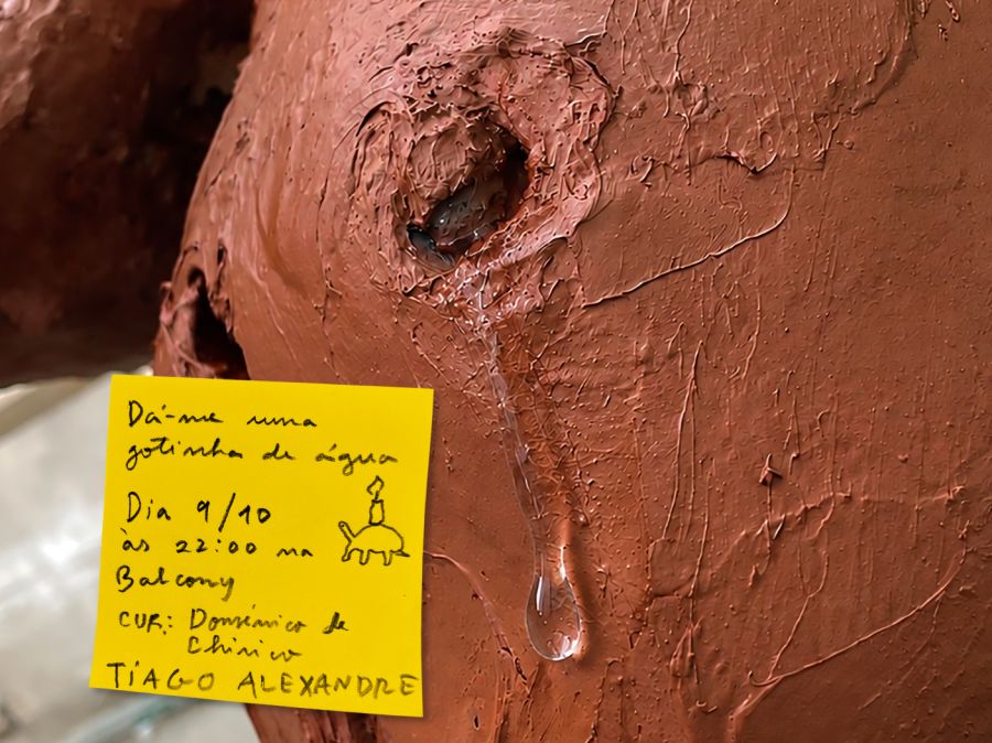 'Dá-me uma gotinha de água' de Tiago Alexandre