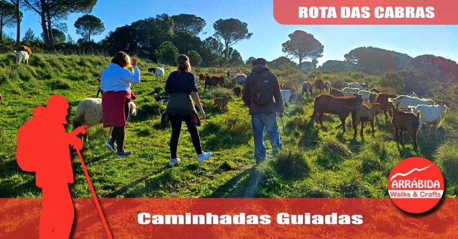 Caminhada . Rota das Cabras . Azeitão 