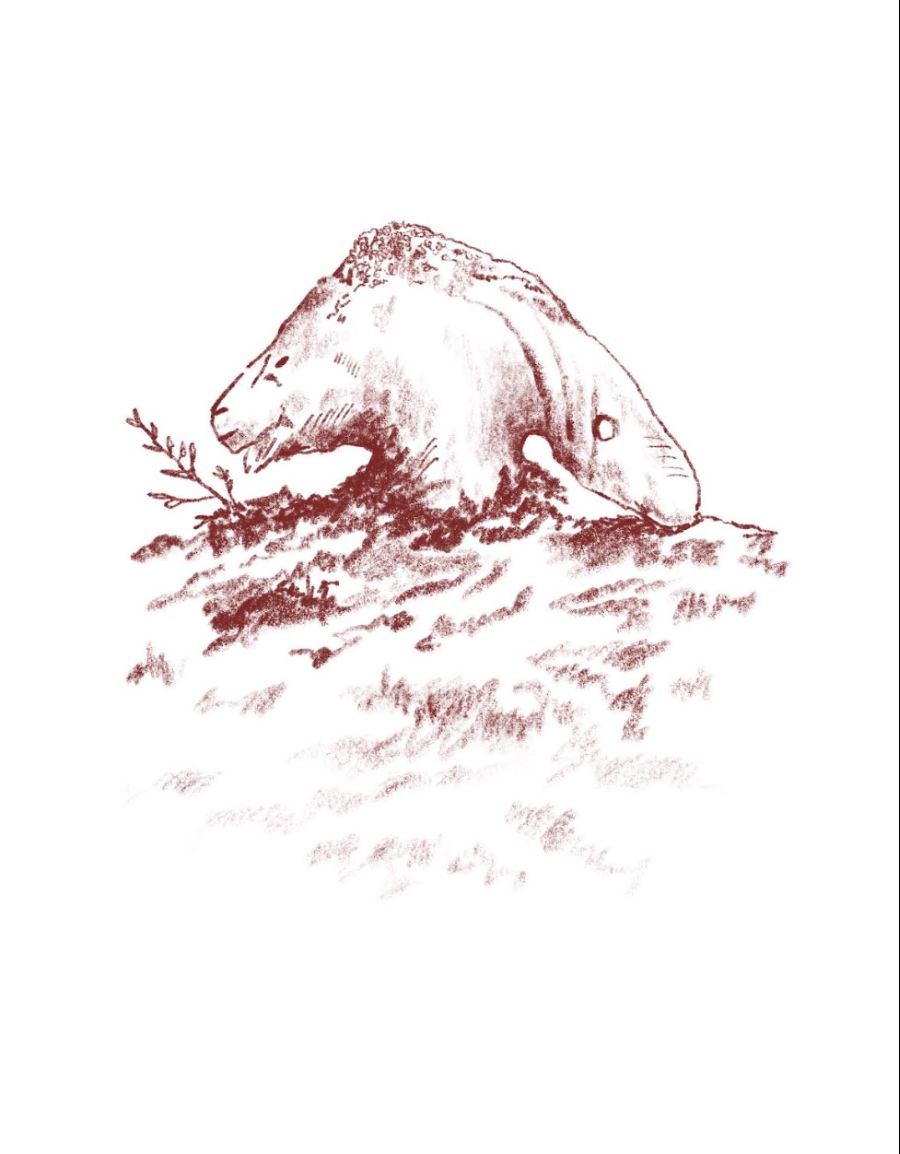 EXPOSICIÓN | “Tierra” de Moyra Montoya