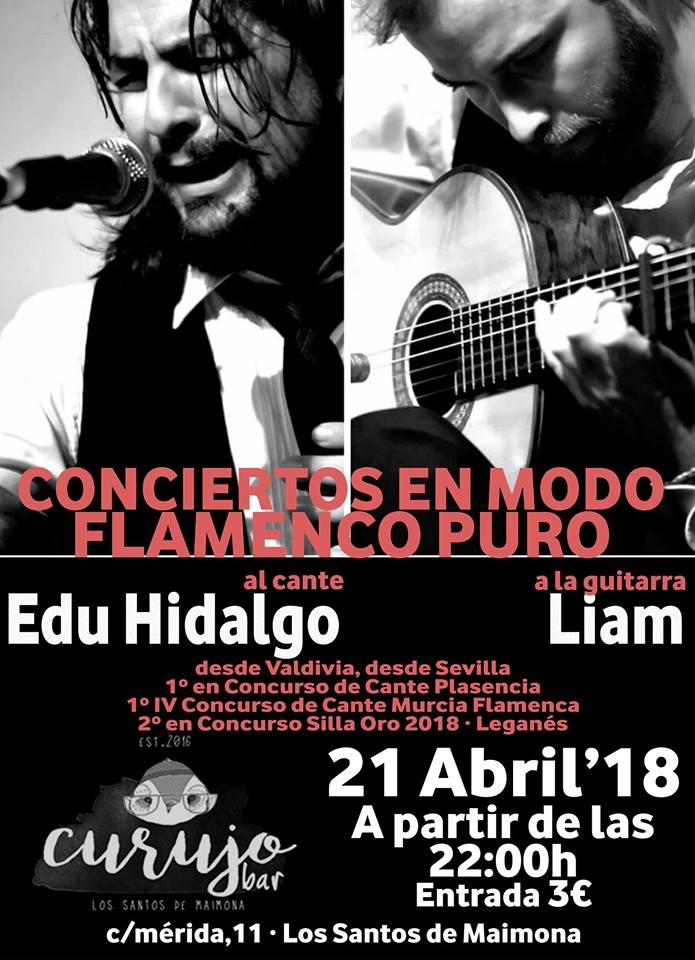 Conciertos Flamenco Puro con Edu Hidalgo