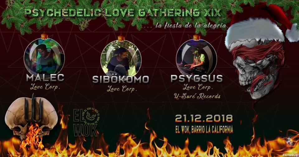 Psychedelic love gathering XIX. Malek, Sibokomo & Psygsus. Psy-trance Dj set
